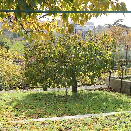 Il Gelsomino Ferienhaus