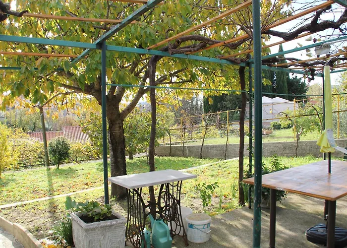 Il Gelsomino Trieste