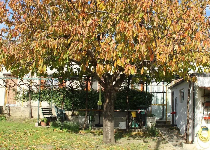 Il Gelsomino Hébergement de vacances