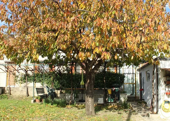 Il Gelsomino Trieste