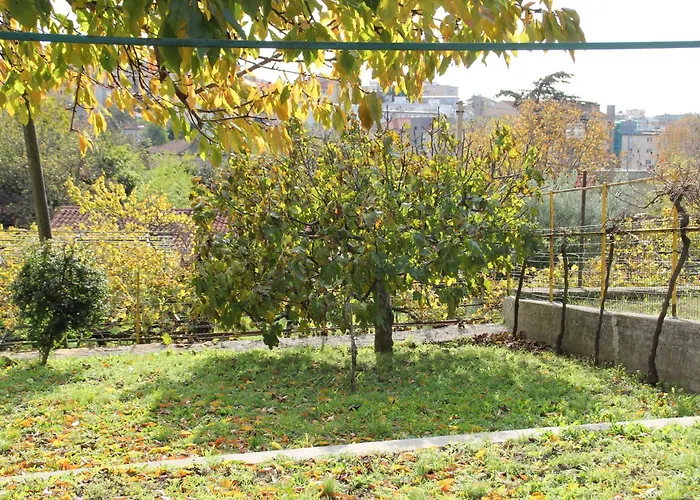 Il Gelsomino Hébergement de vacances